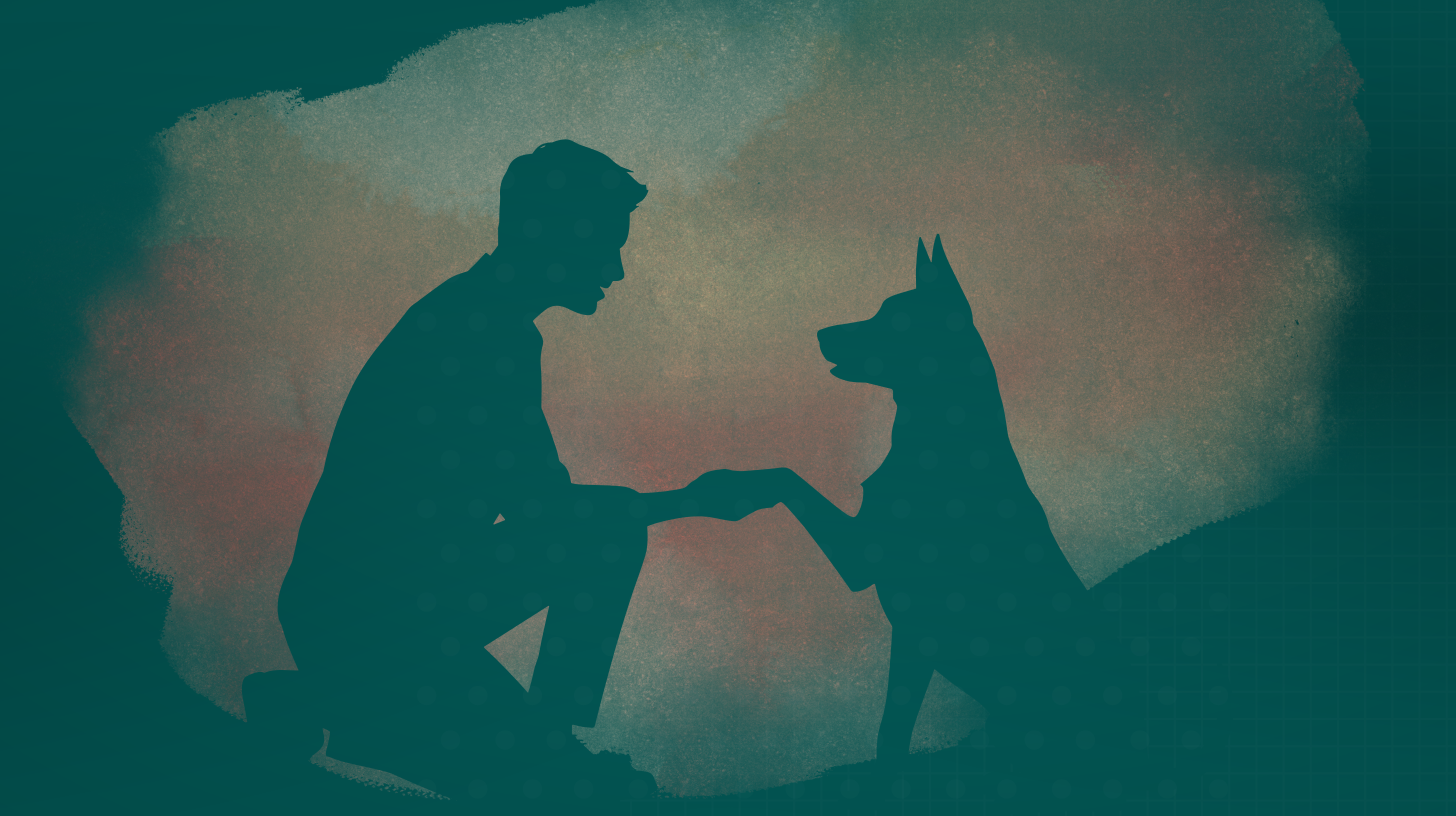 Prawa opiekunów zwierząt